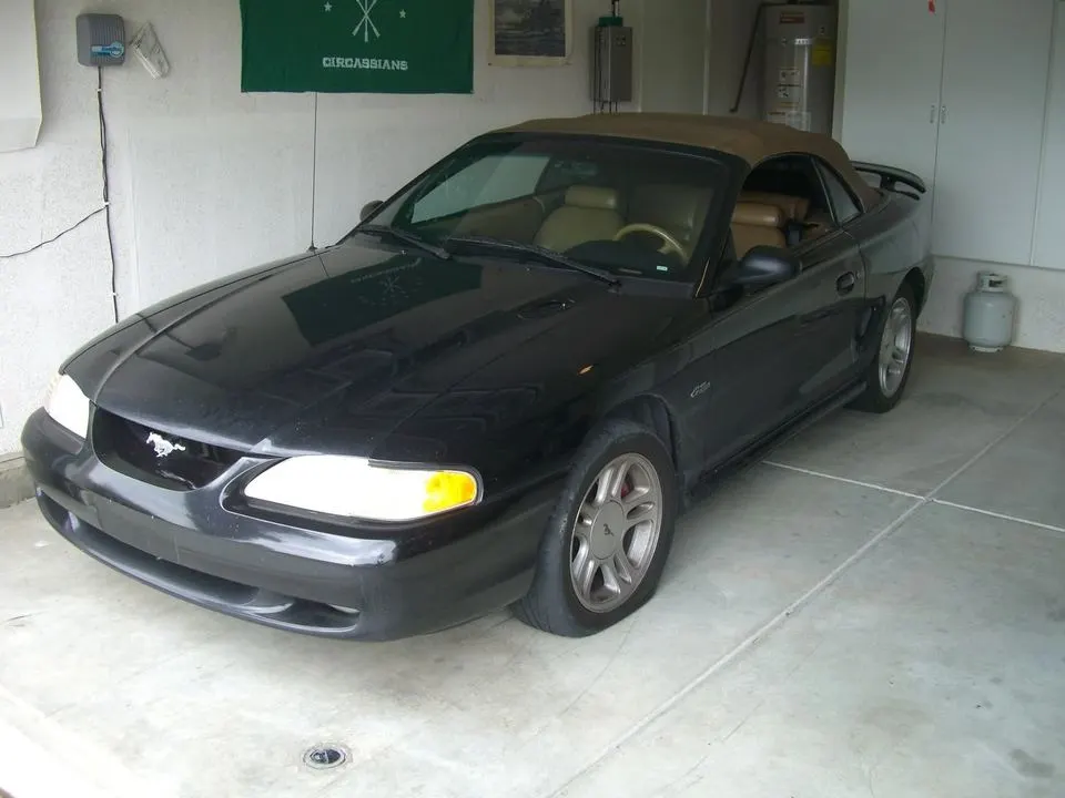 Mustang007.webp