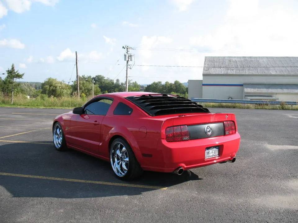 Mustang007.webp