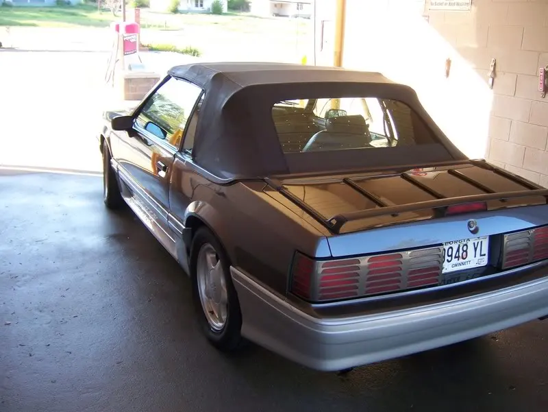 mustang007.webp