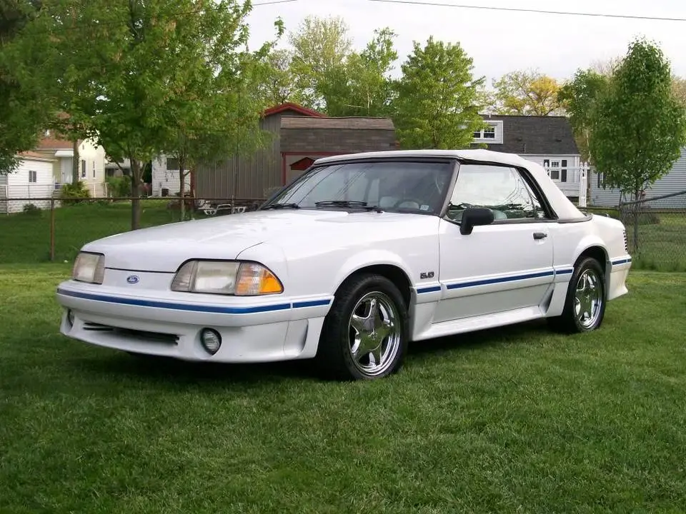 MUSTANG008.webp