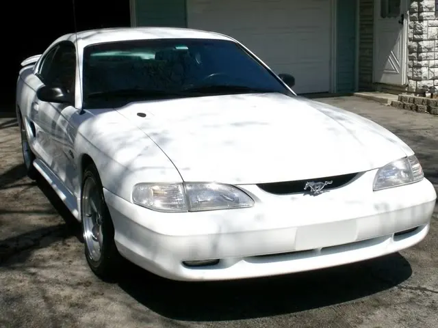mustang008.webp
