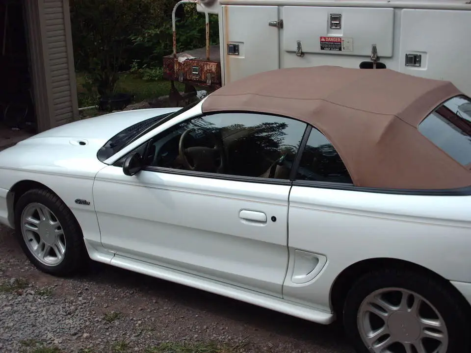 mustang008.webp