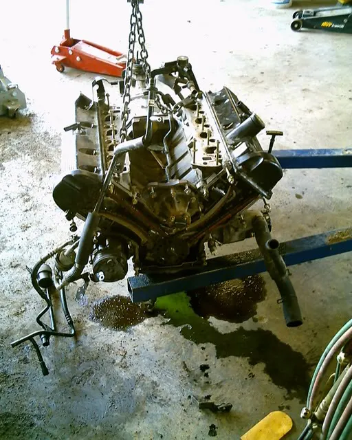 mustang008.webp