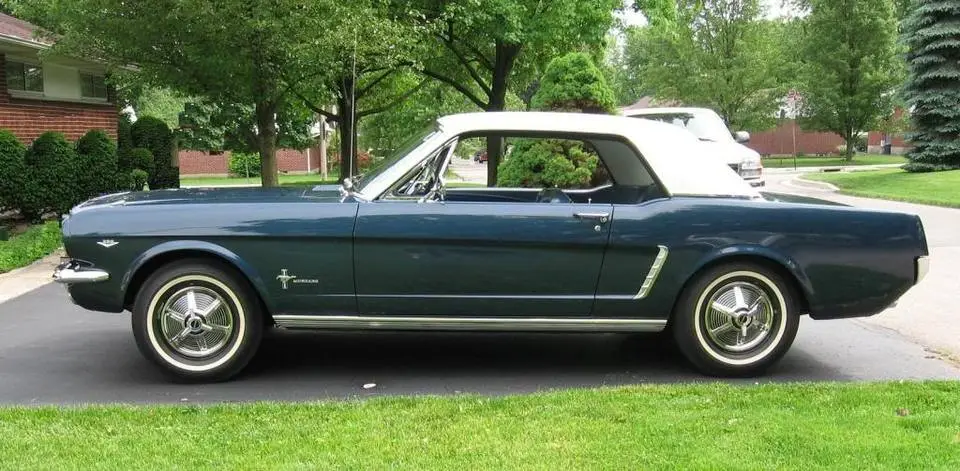 mustang008cs.webp