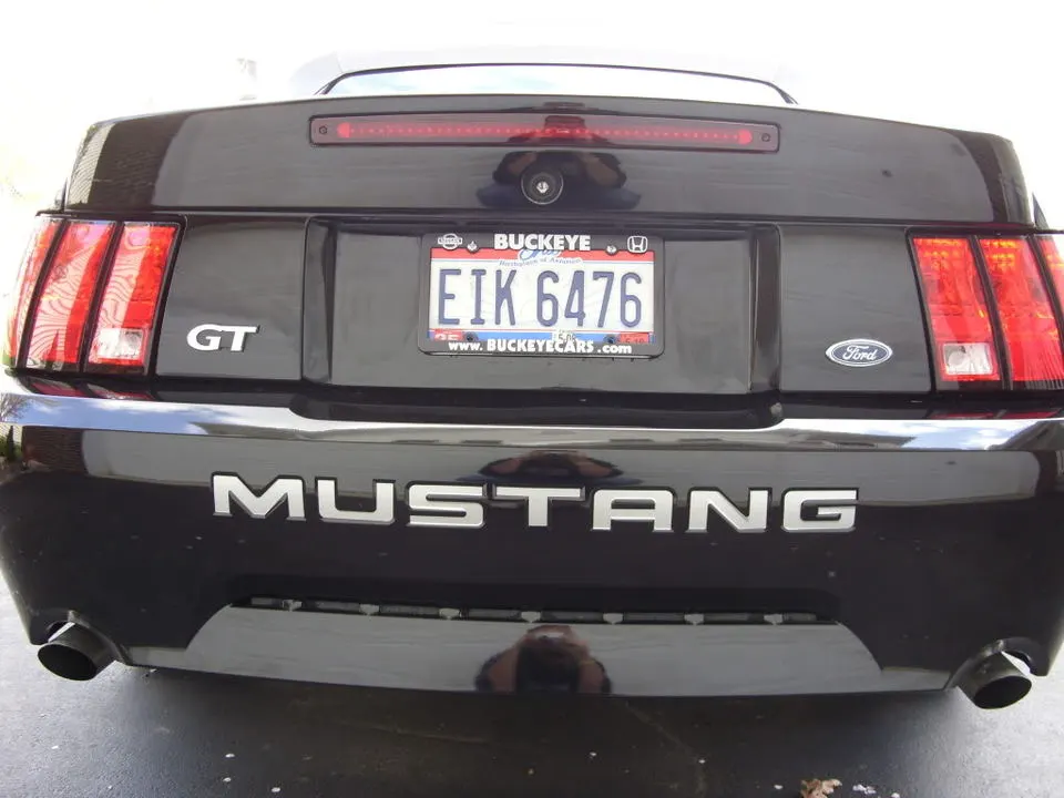Mustang009.webp
