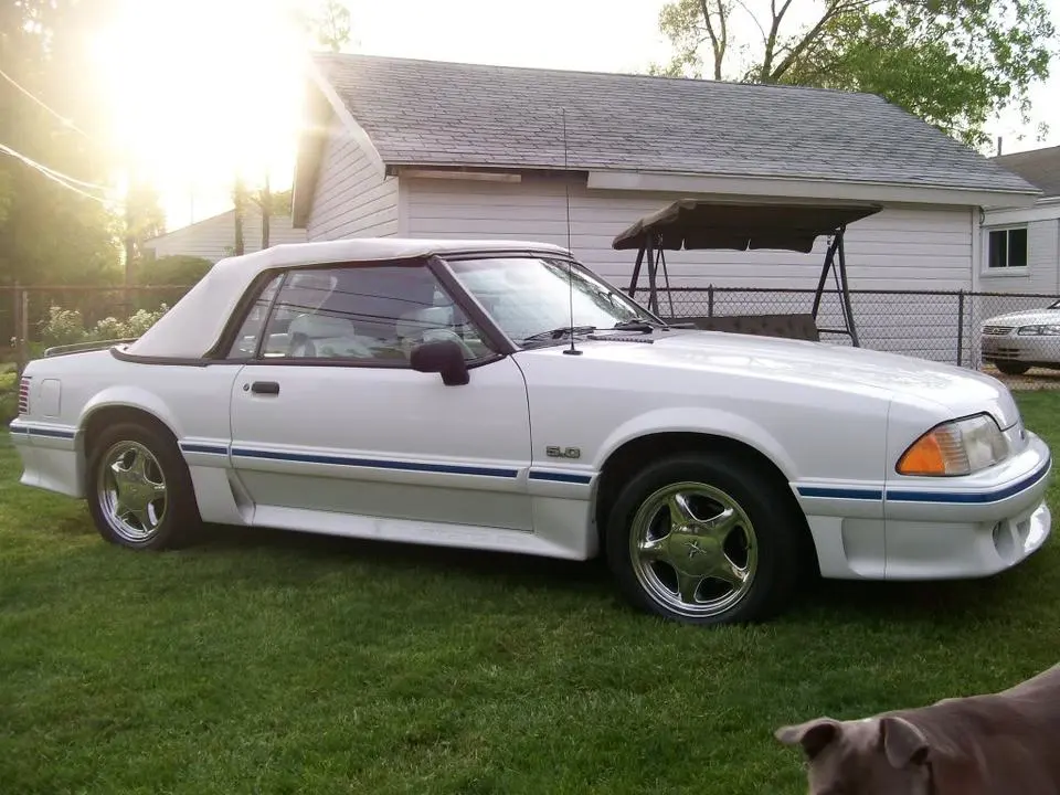 MUSTANG009.webp