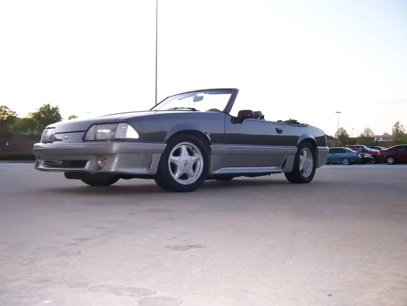 mustang009.webp