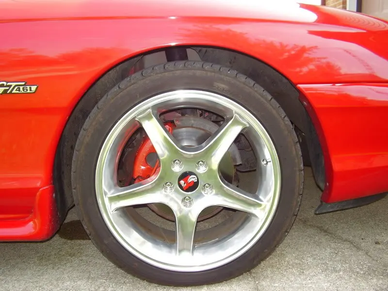 mustang009.webp