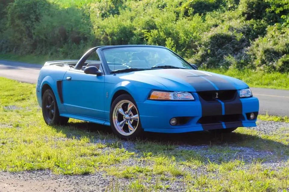 mustang010.webp
