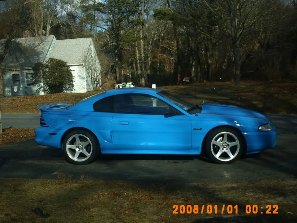 mustang010.webp