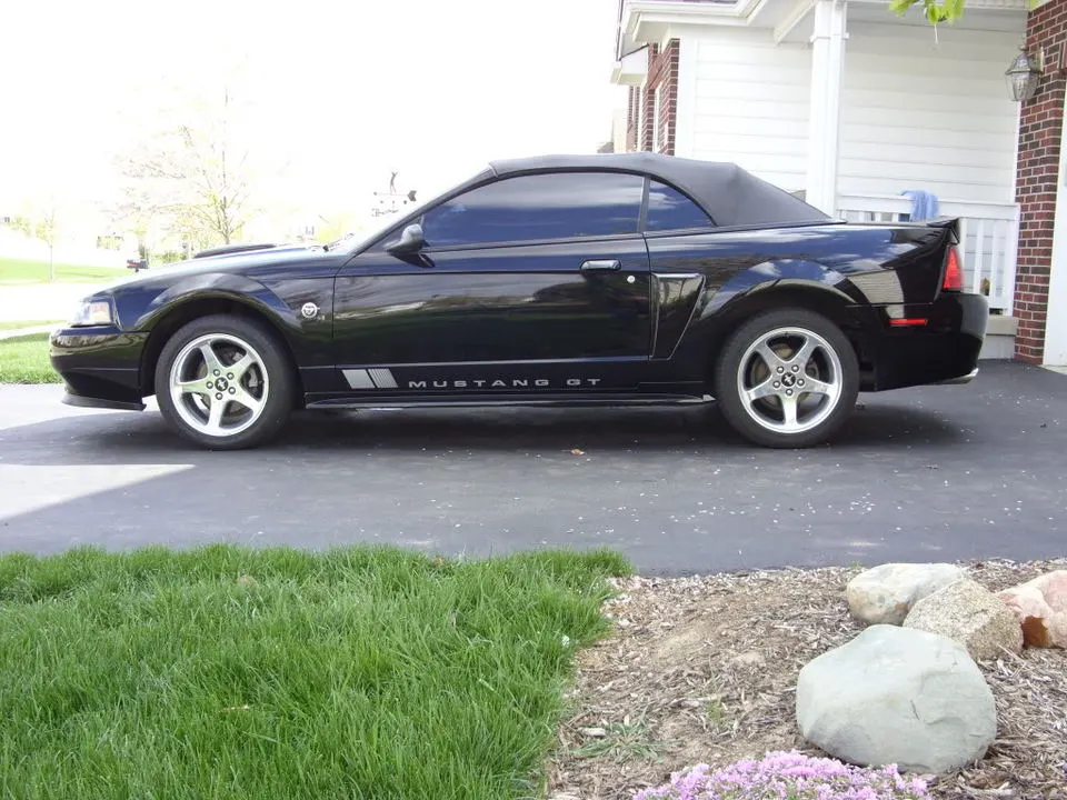 Mustang010.webp