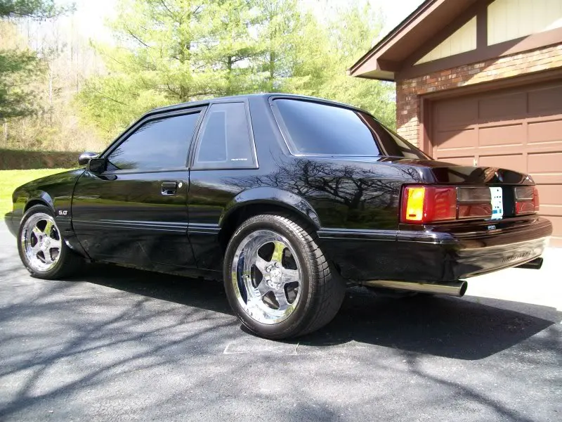 Mustang011.webp