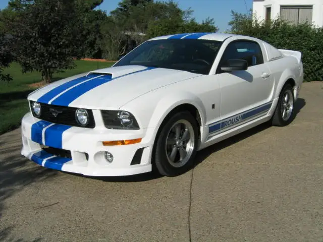 mustaNG011.webp
