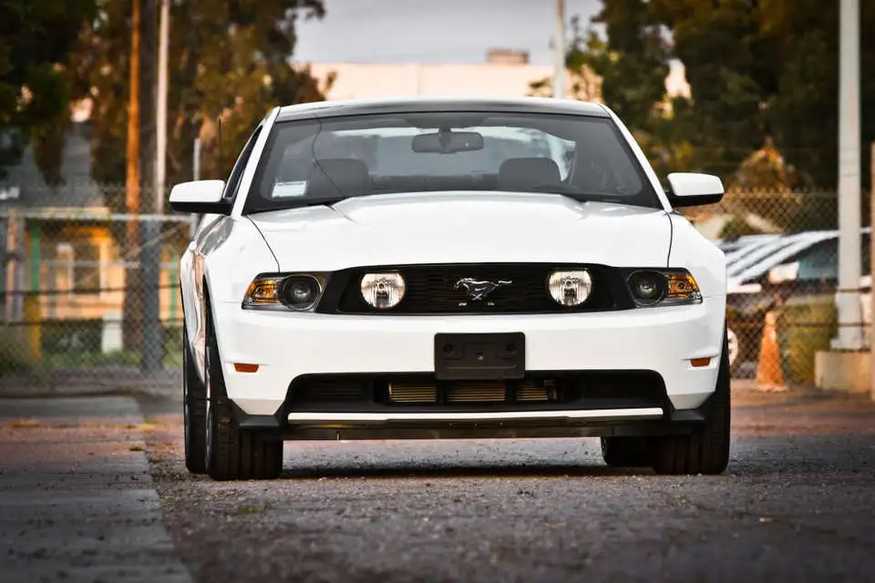 Mustang012.webp