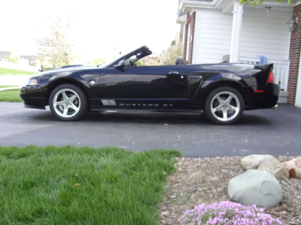 Mustang012.webp