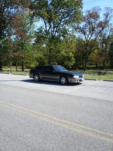 Mustang012.webp