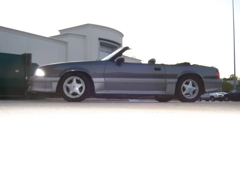 mustang012.webp