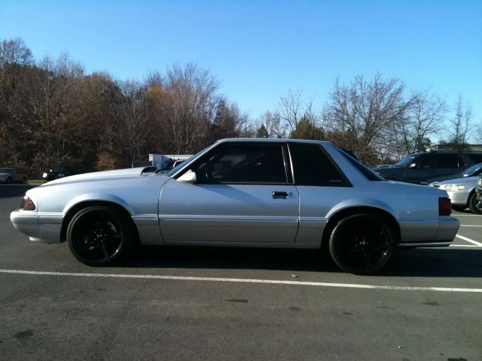 mustang013.webp