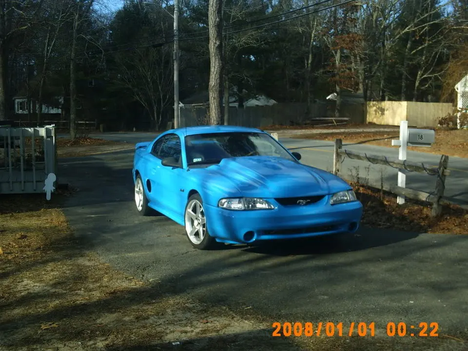 mustang013.webp