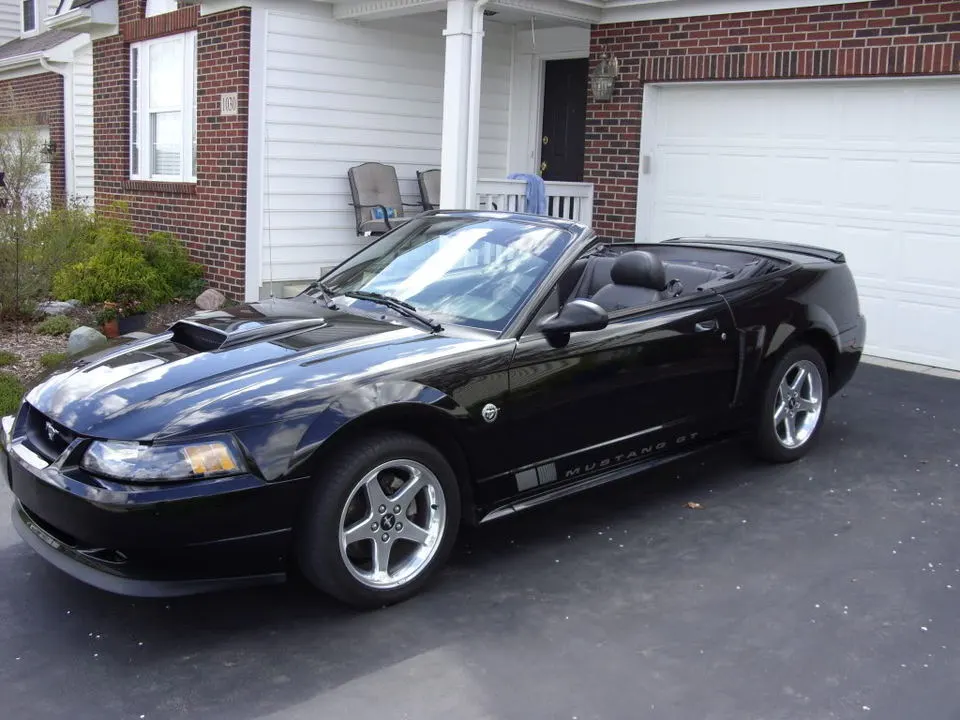 Mustang013.webp