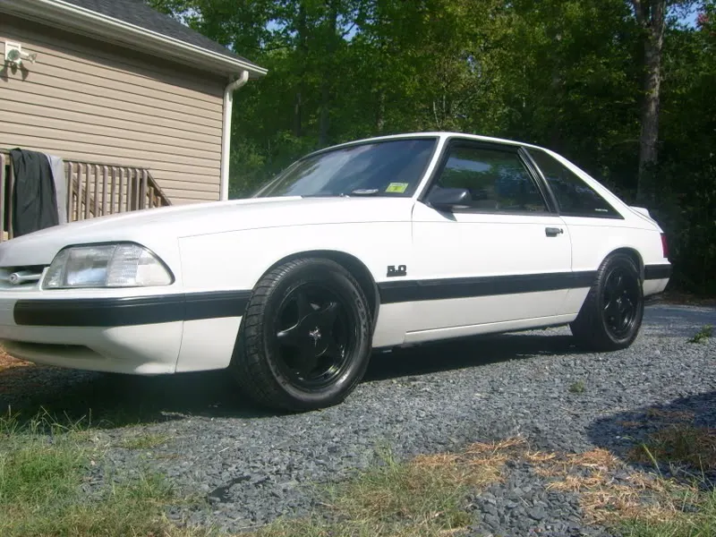 Mustang013.webp