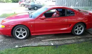 mustang014.webp