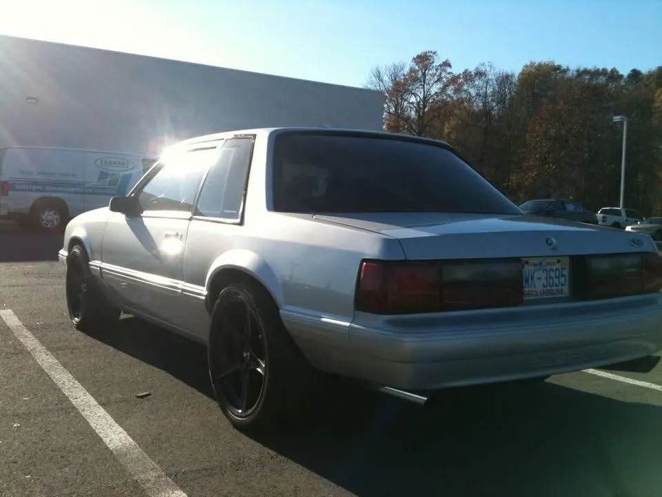 mustang014.webp