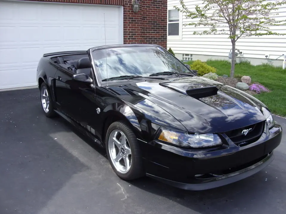 Mustang014.webp