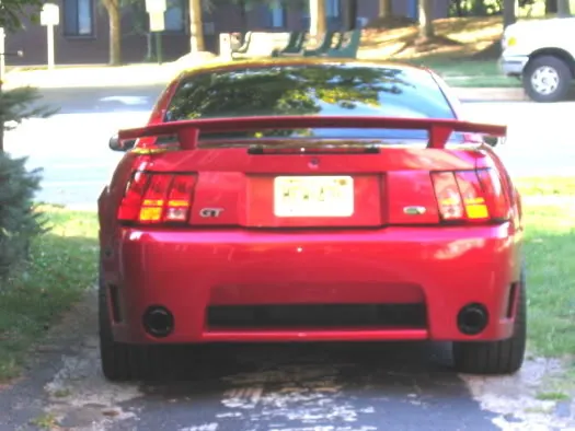 mustang014.webp