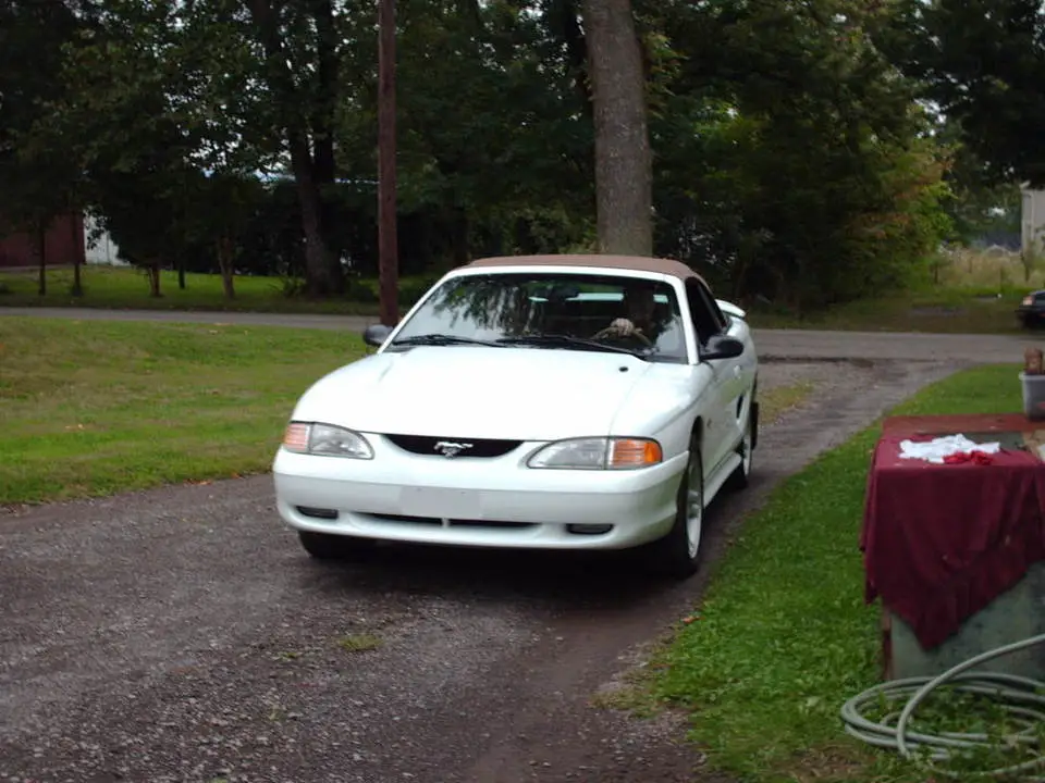 mustang014.webp
