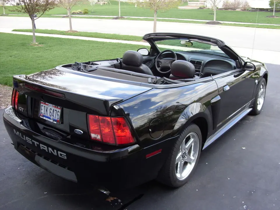 Mustang015.webp