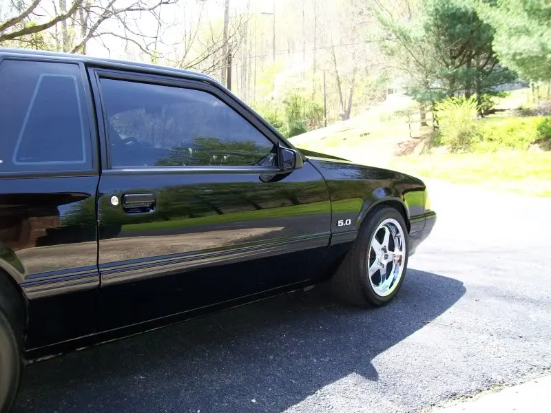 Mustang015.webp