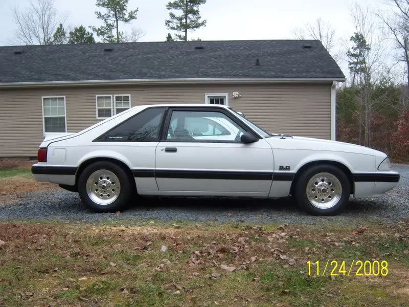 Mustang016-1.webp