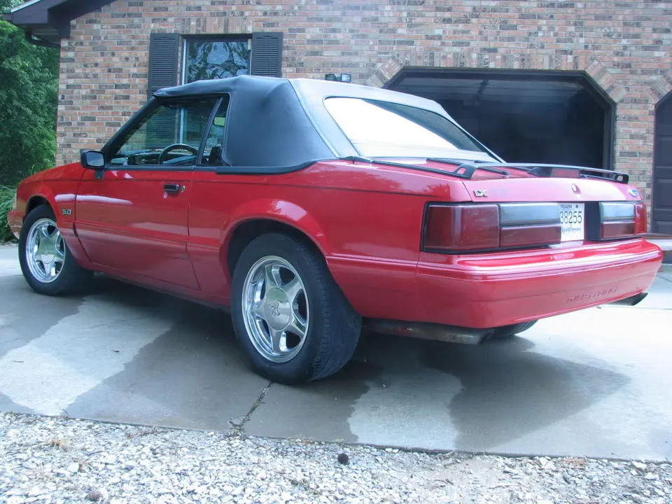 Mustang016.webp