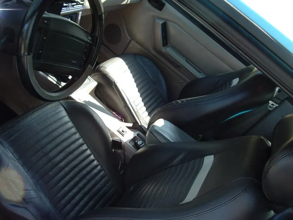 Mustang016.webp
