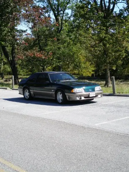 Mustang016.webp