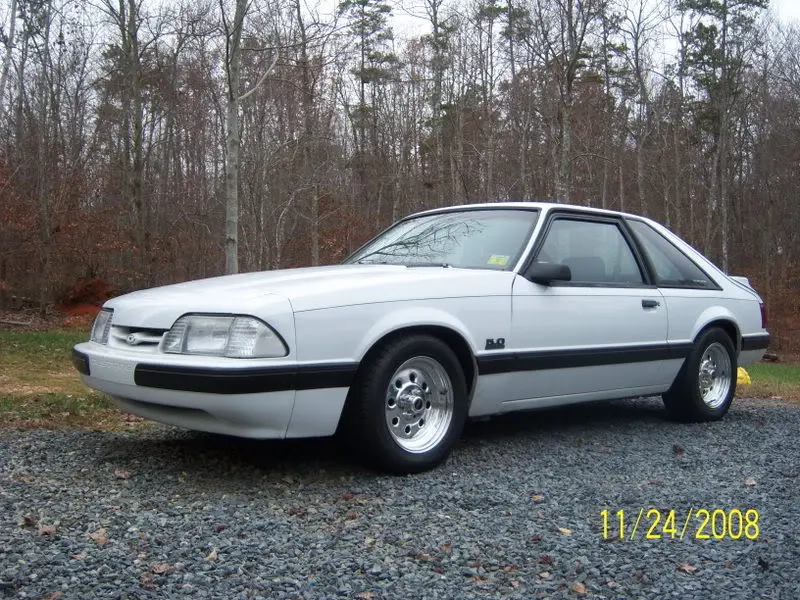 Mustang017-1.webp