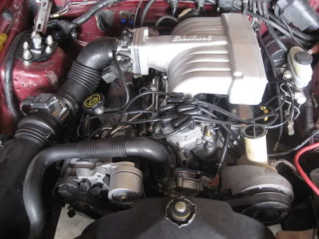 Mustang018.webp