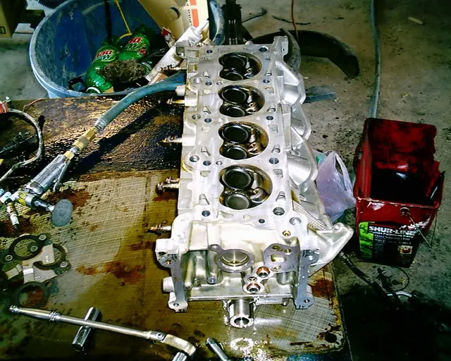 mustang018.webp