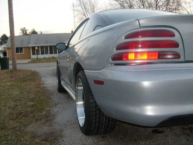 mustang019.webp