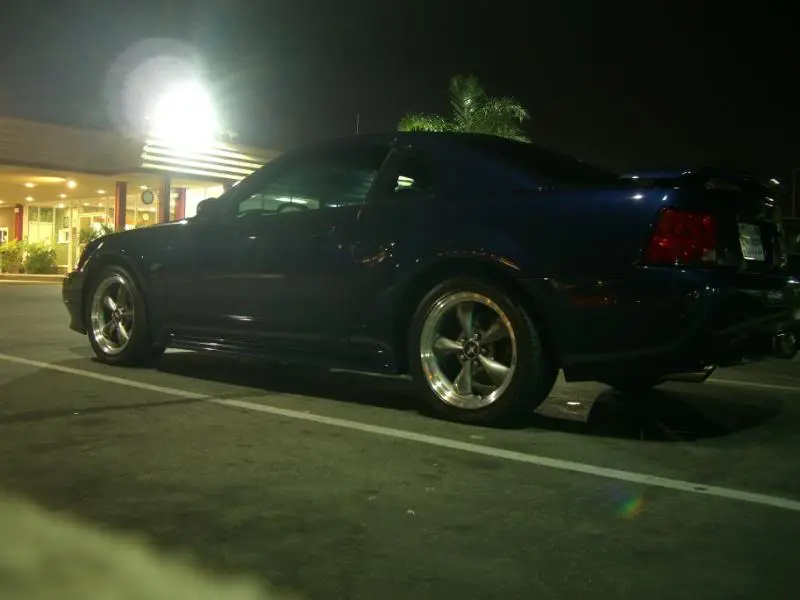 Mustang019.webp