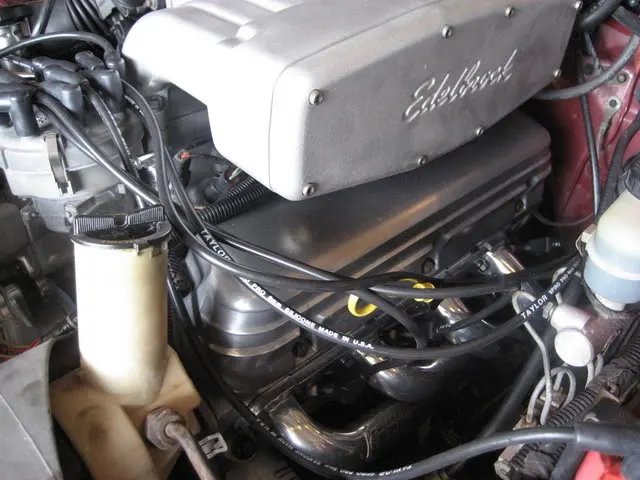 Mustang019.webp
