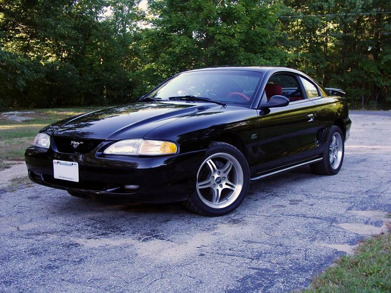 mustang02.webp