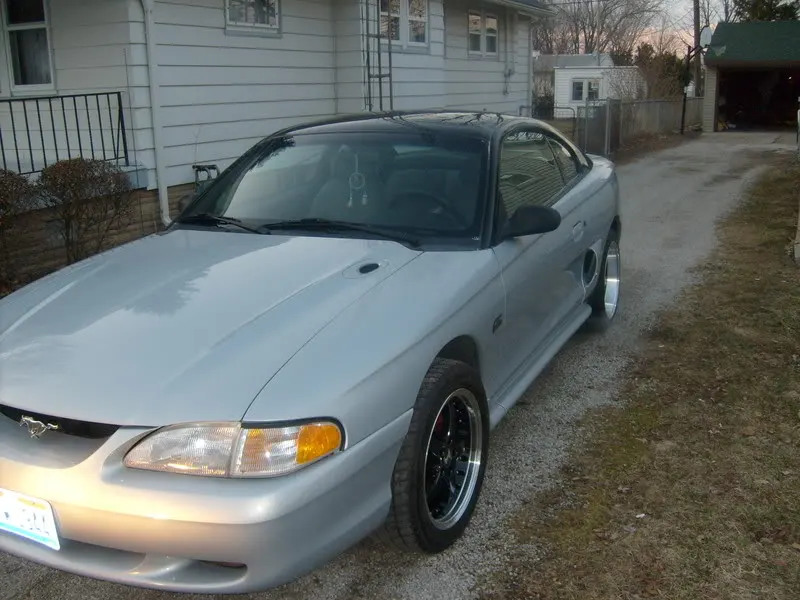 mustang020.webp