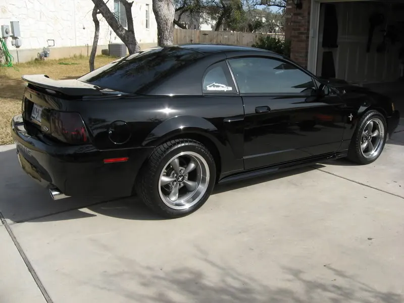 Mustang020.webp