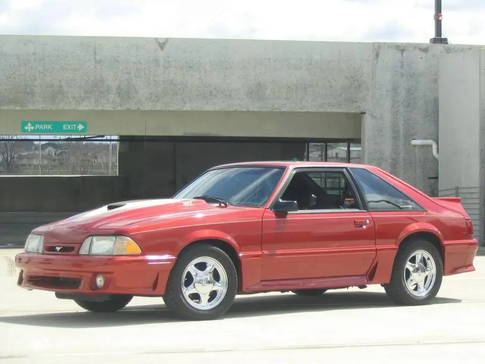 mustang021.webp