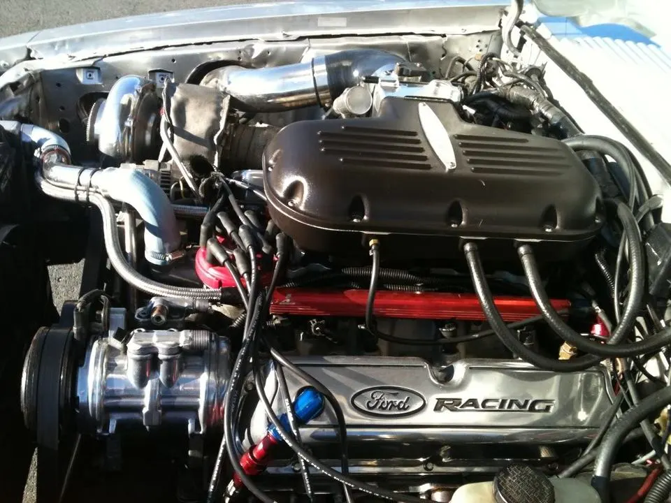 mustang022.webp
