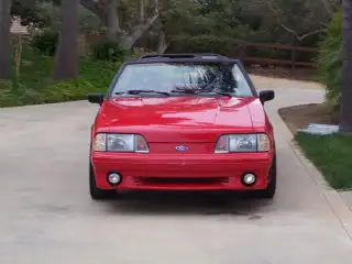 mustang023-Copy.webp