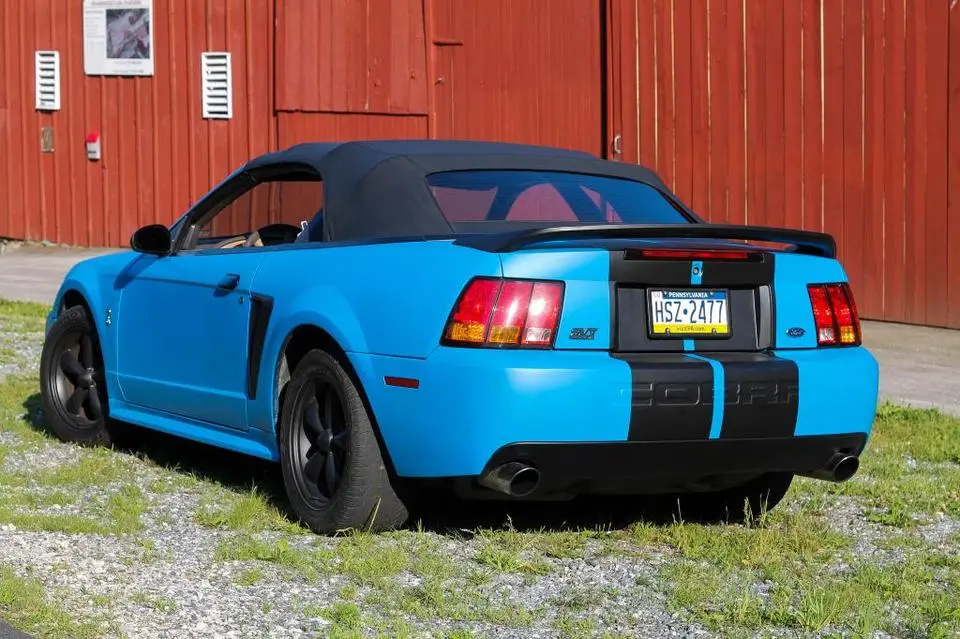 mustang023.webp