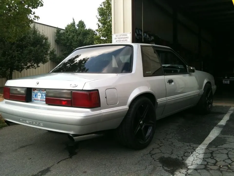 mustang023.webp